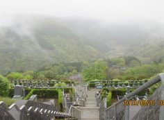 バス通り・7区バス停前～風景