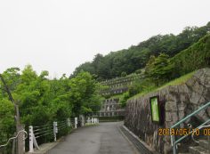 階段墓域・7区1/2番枝道～撮影