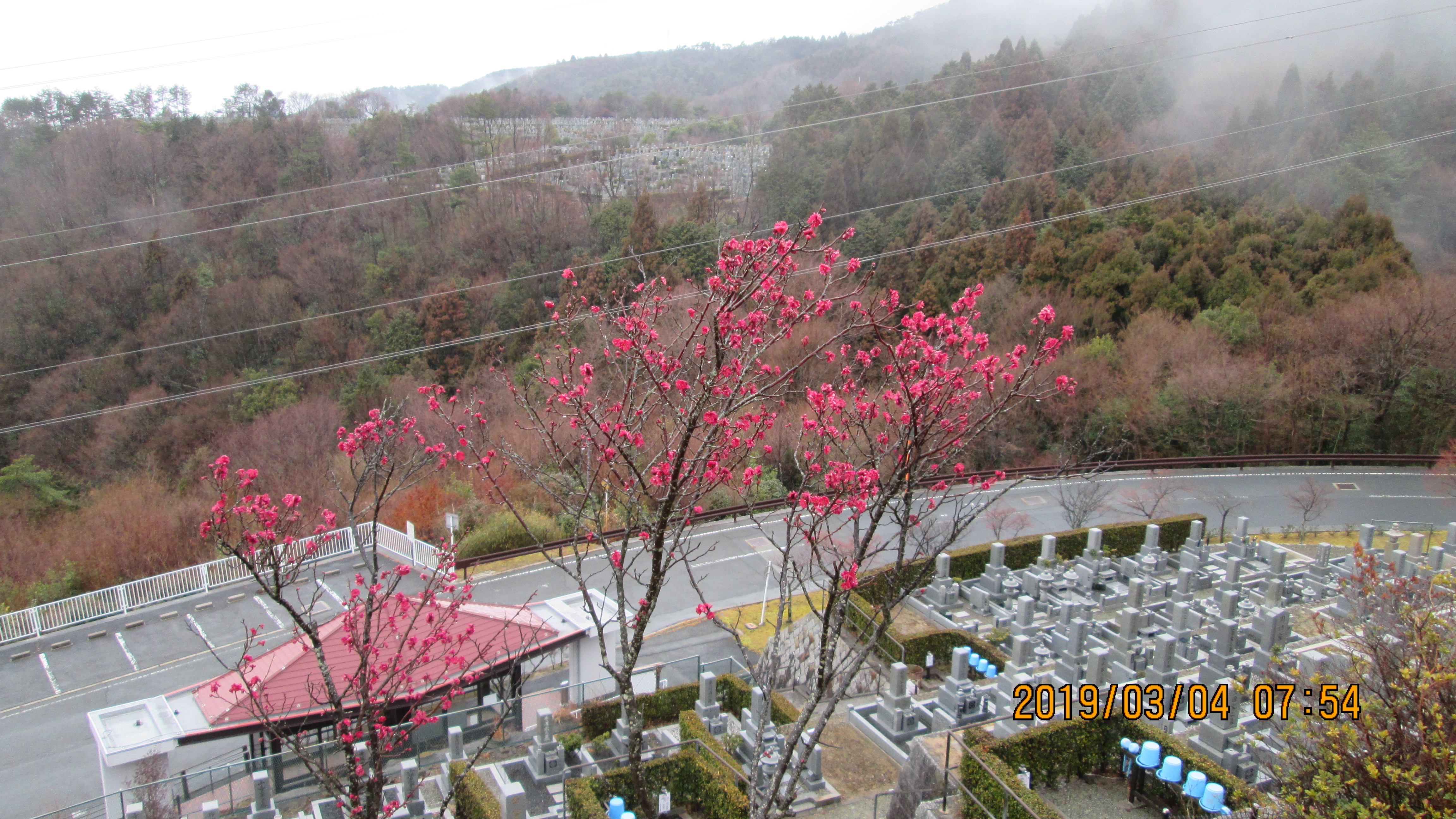 階段墓所・2番枝道風景