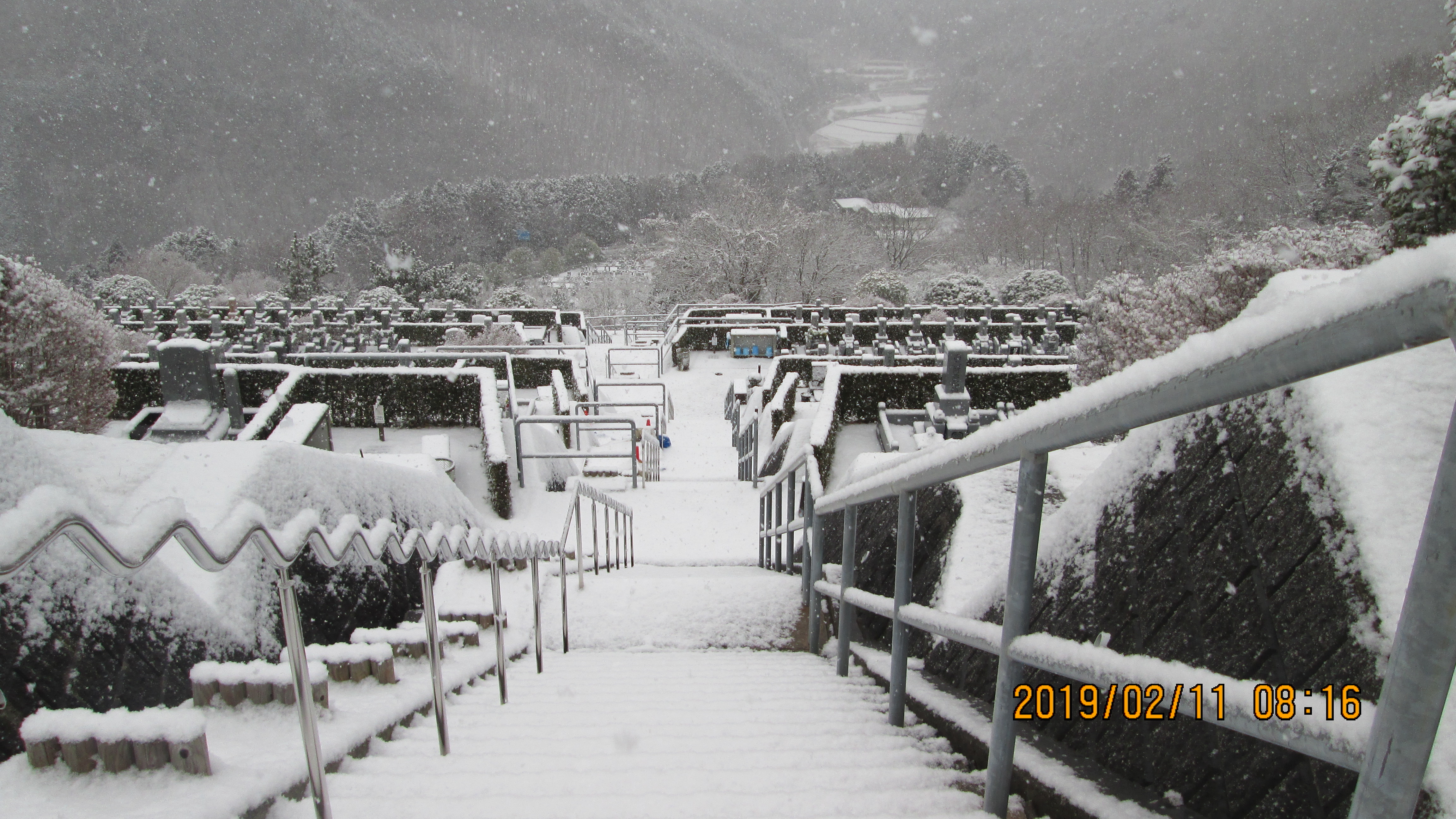 階段墓所：5区墓域風景