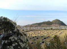 北口休憩所からの風景