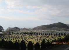 11区2番芝生墓所から園内風景