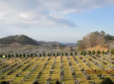 11区2番芝生墓所から園内風景