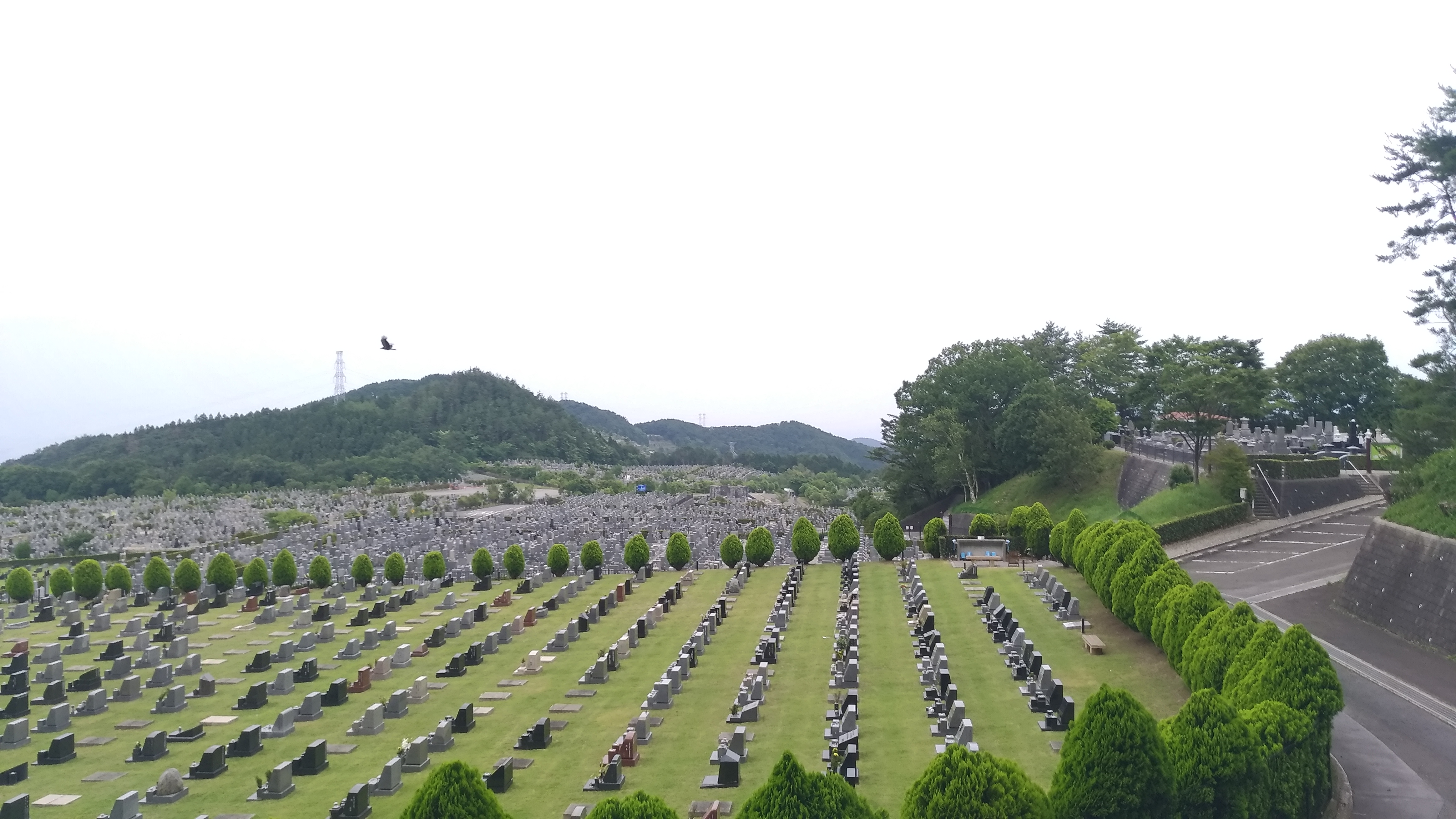 一般墓域・1区2番芝生墓所～風景