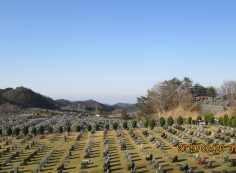 一般墓域・11区2番芝生墓所～風景