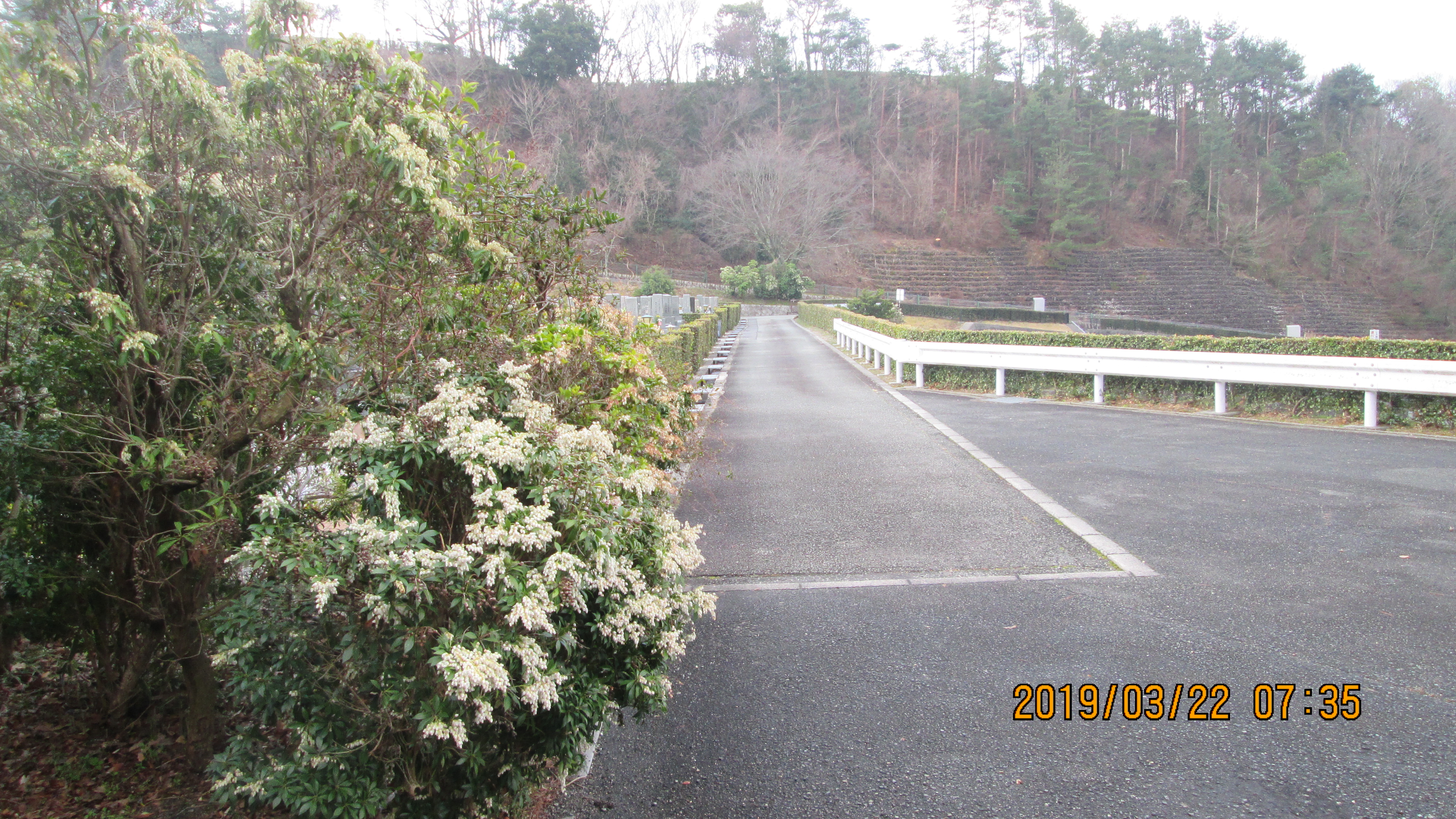 一般墓域・10区5番墓所駐車場