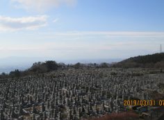 一般墓域・11区1番墓所～園内風景