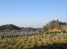 一般墓域・11区2番芝生墓所～