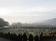 11区2番芝墓所からの霊園風景