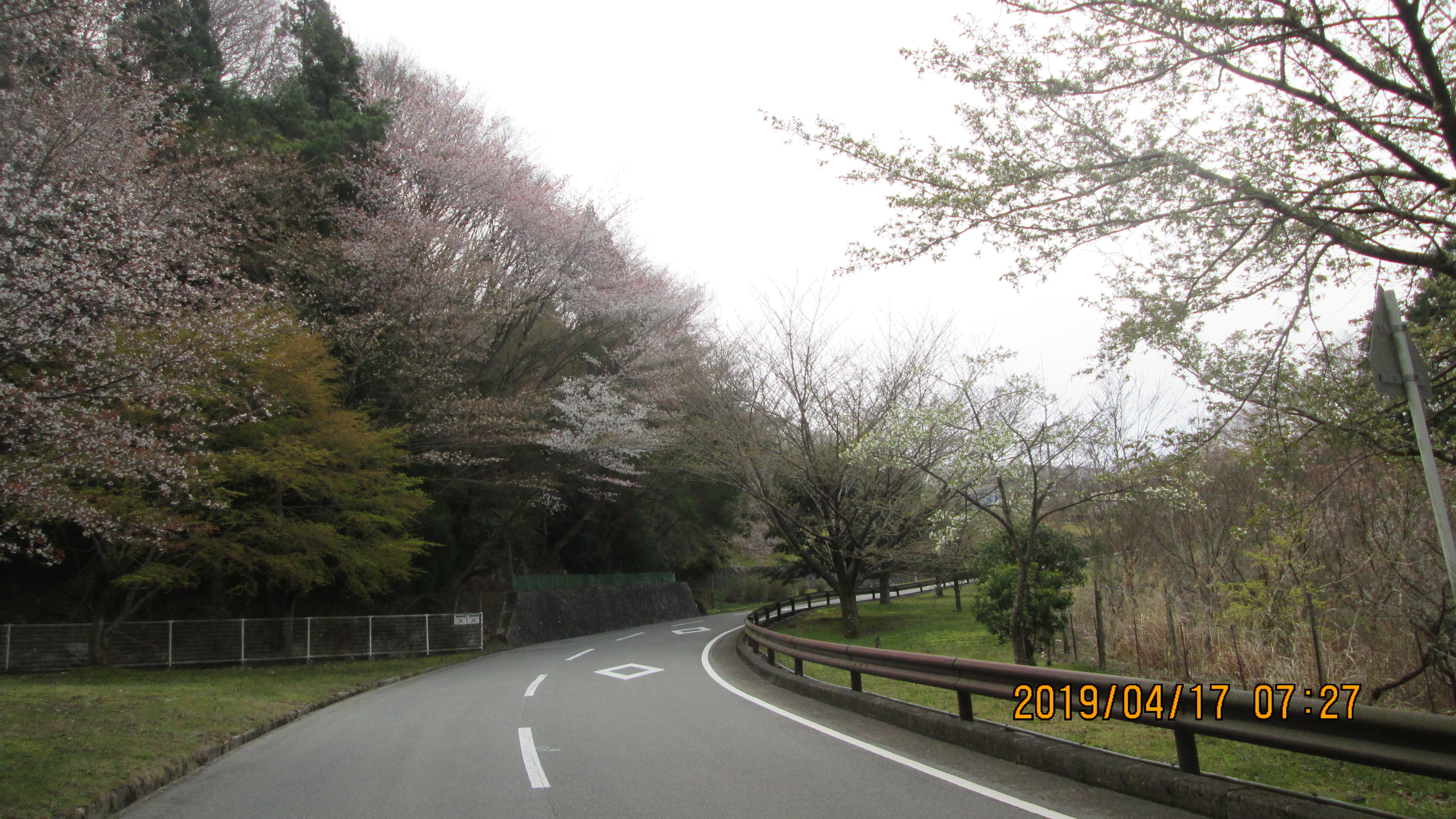 バス通り・5区バス停手前風景