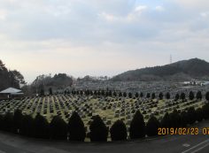 11区2番芝生墓所からの園内風景