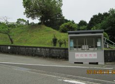 バス通り・5区墓所前～供花販売中