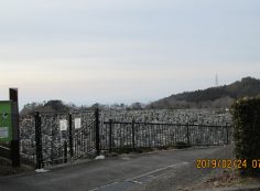 11区1墓所からの霊園風景