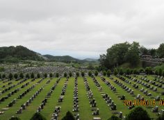 一般墓域・11区2番墓所～撮影