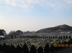 11区2番芝生墓所から園内風景