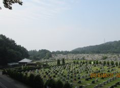 一般墓域・11区2番芝生墓所～撮影