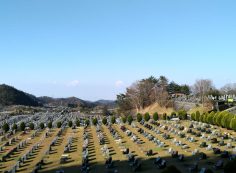 一般墓域・11区2番芝生墓所～風景