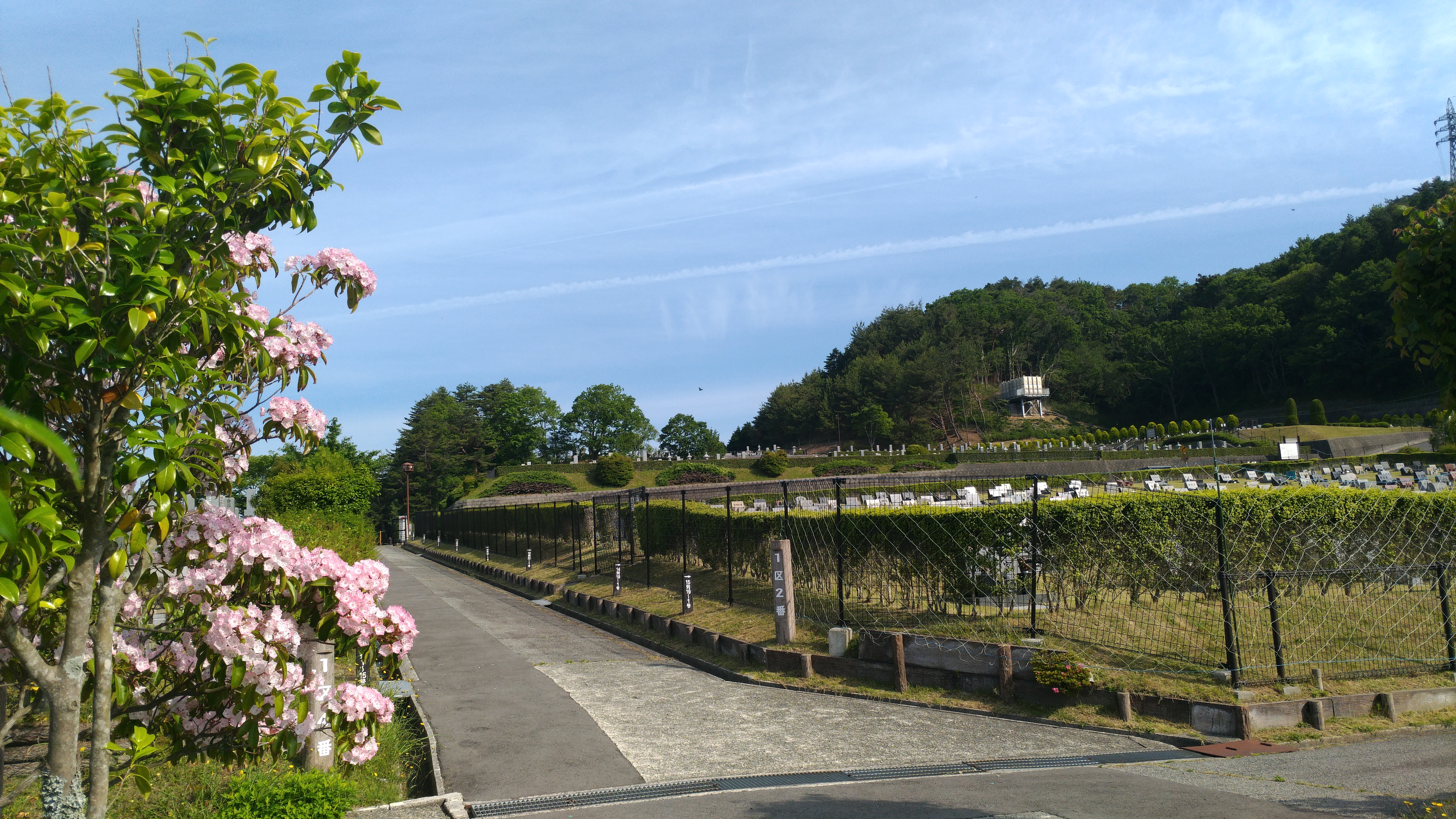 一般墓域・1区2/4番枝道風景