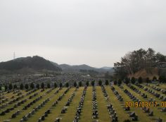 11区2番芝生墓所からの園内風景