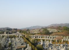 一般墓域・11区7番墓所からの風景