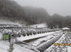 11区1番墓所からの風景①