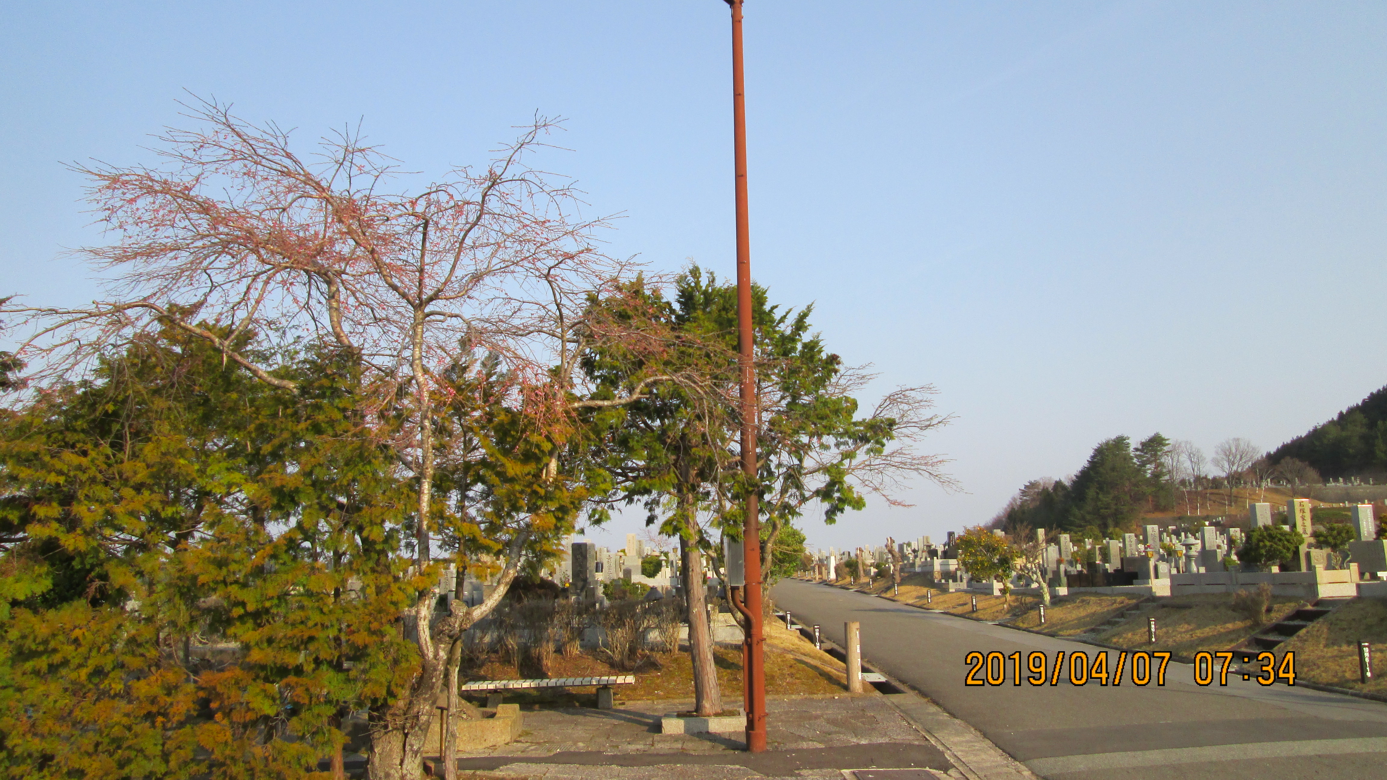  一般墓域・1区8番駐車場～風景