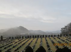 11区2番芝墓所からの霊園風景