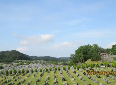 一般墓域・11区2番芝生墓所～撮影