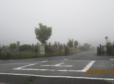 バス通り・1区4/6番墓所入口