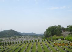 一般墓域・11区2番芝生墓所～撮影