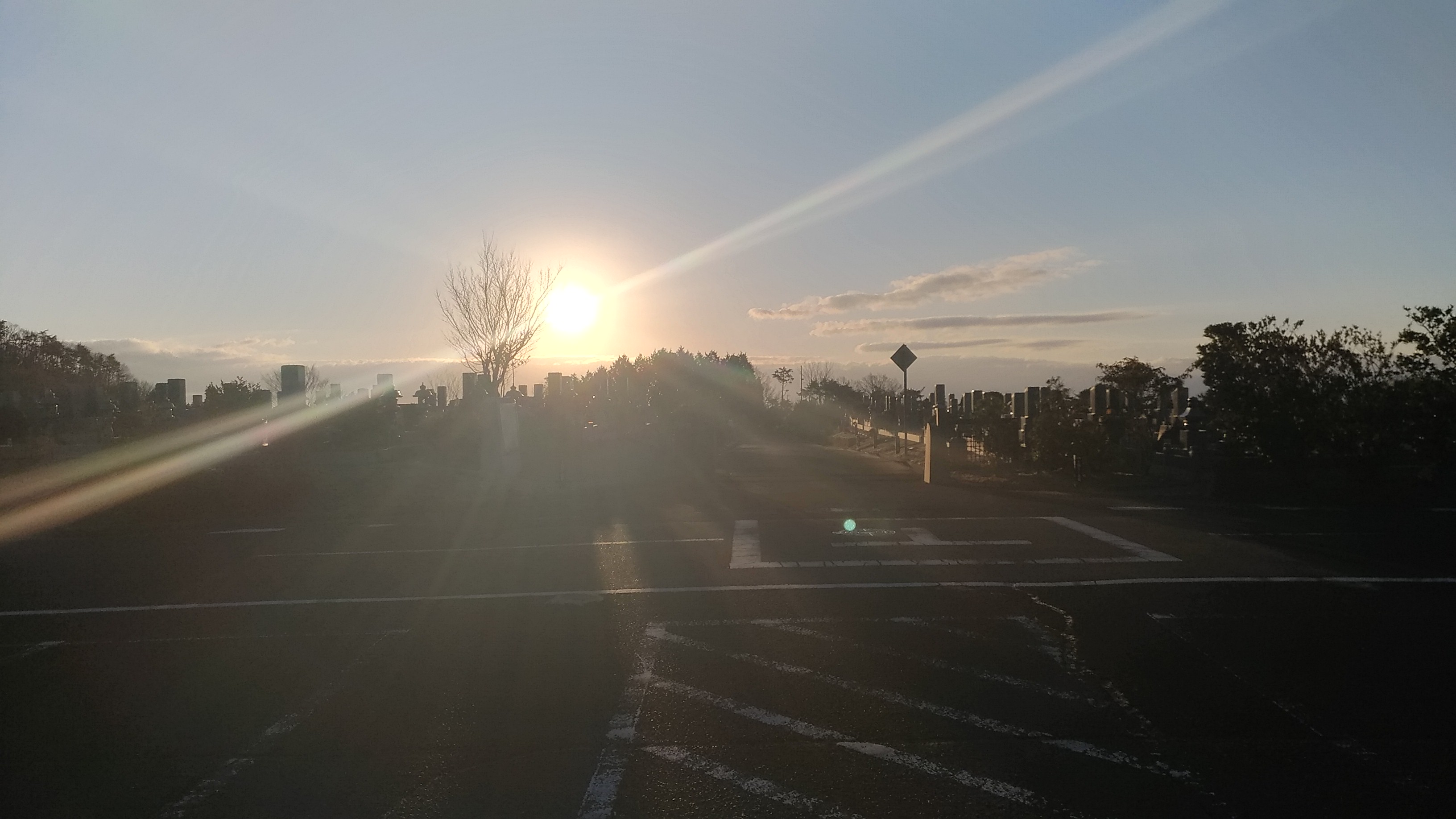 霊園内1区4/6番墓所から東向き風景