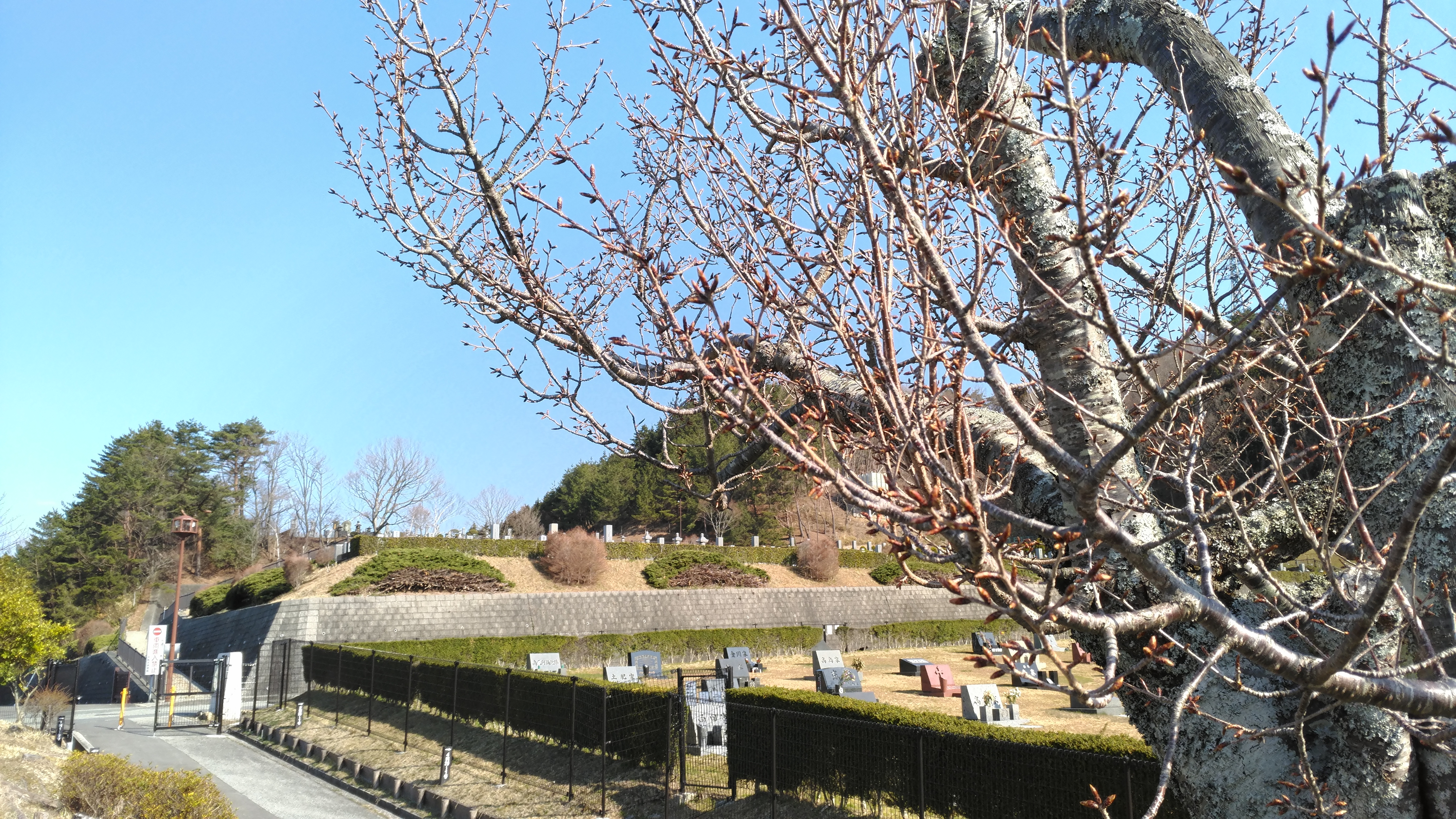 一般墓域・1区2/4番枝道風景