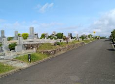 一般墓域・1区4/6番枝道～撮影