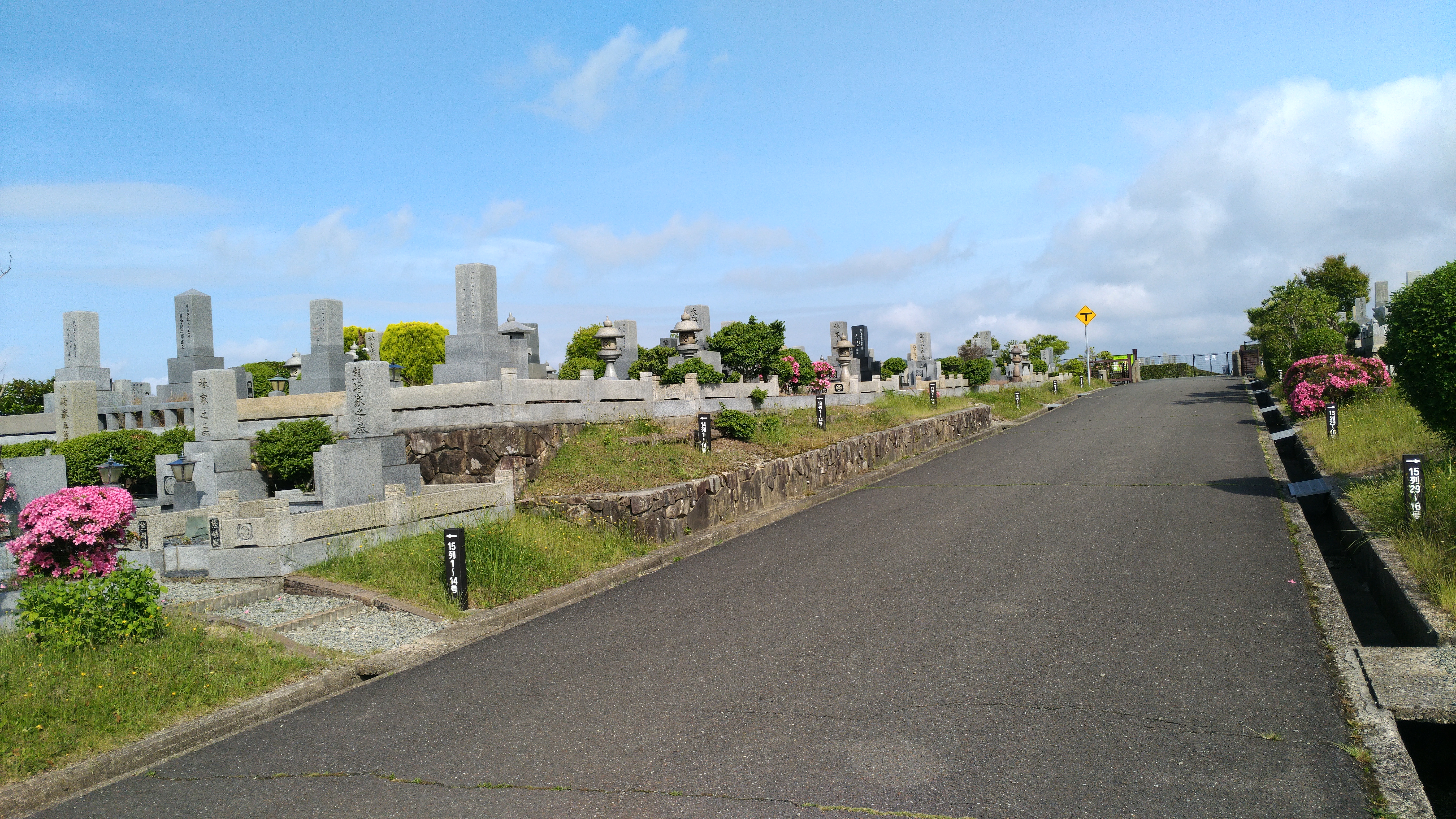 一般墓域・1区4/6番枝道～撮影