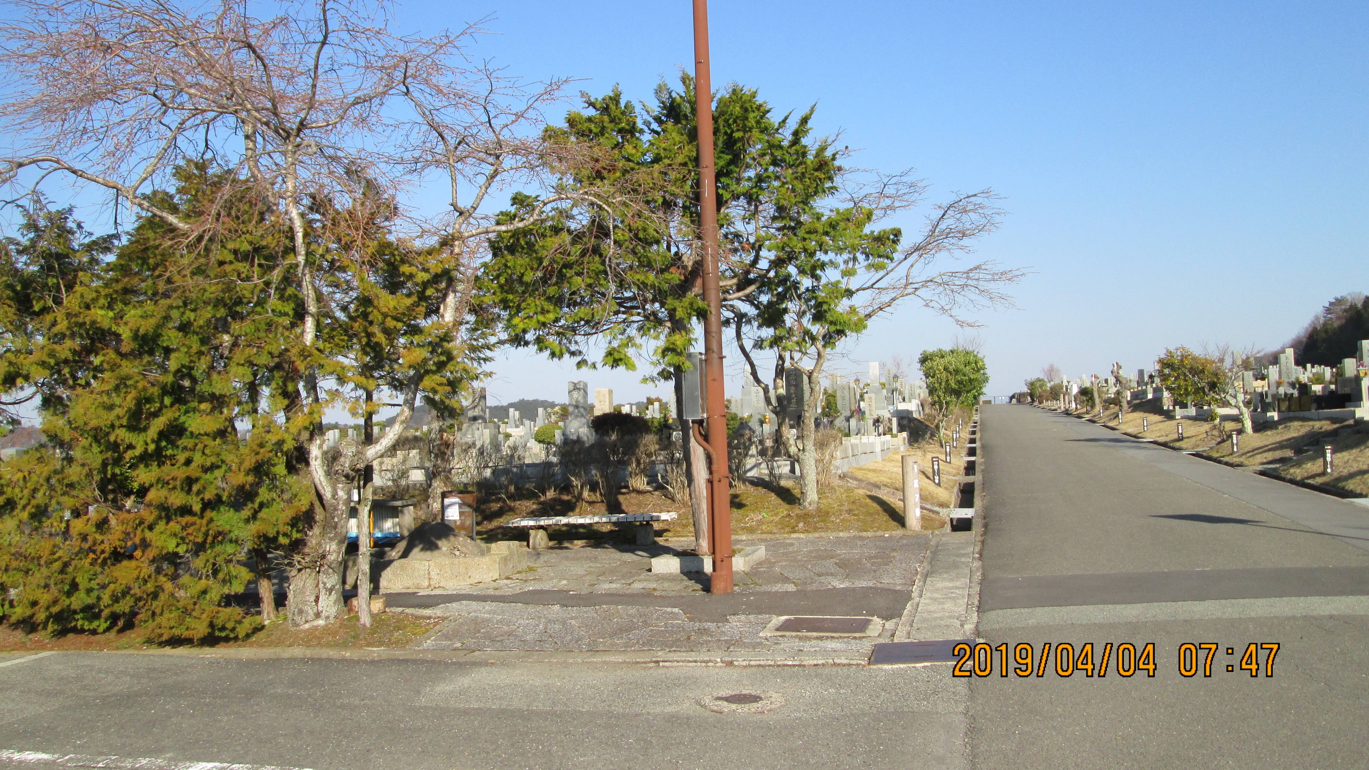 一般墓域・1区8番駐車場「桜・蕾」