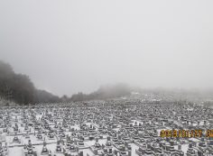 11区1番墓所からの風景②