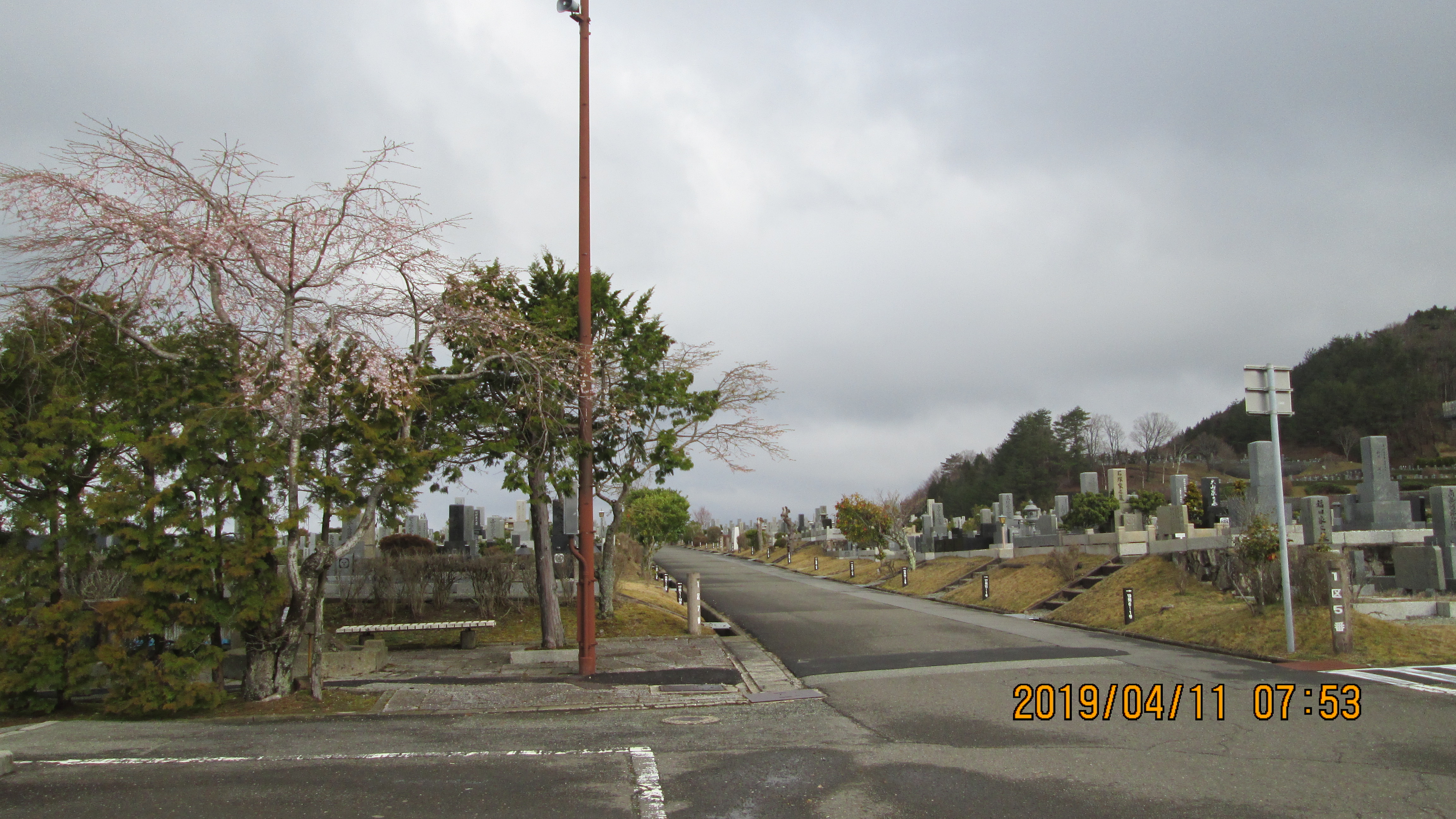 一般墓域・1区7番水汲み場「桜」