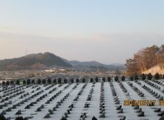 11区2番墓所～の霊園風景