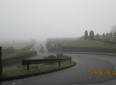 北入口・気温14度・濃霧