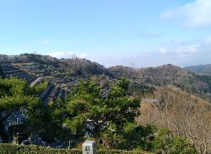  階段墓域・8区4番墓所～風景