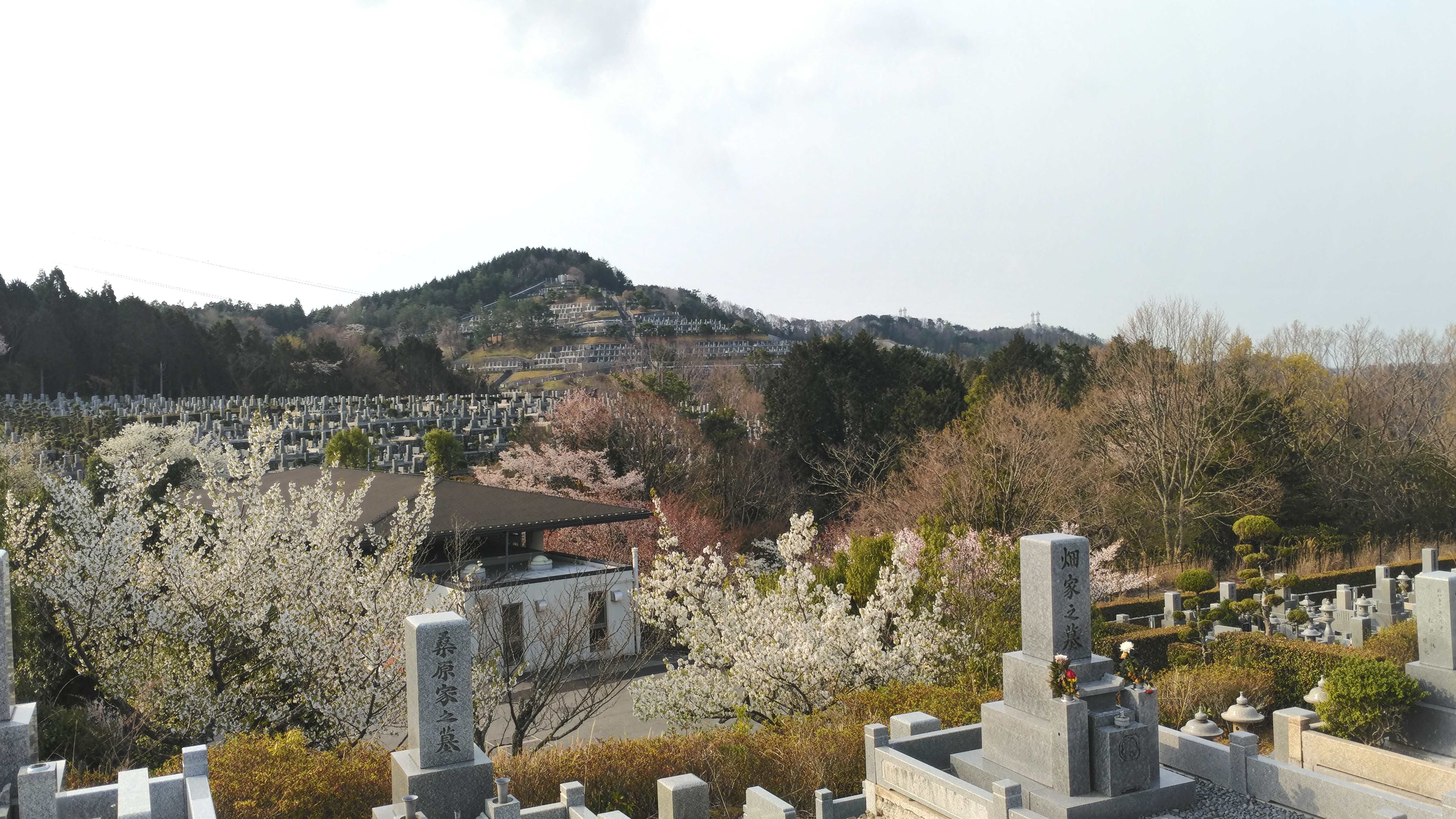 一般墓域・3区4番墓所～風景