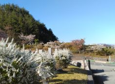 一般墓域・1区10番墓所風景