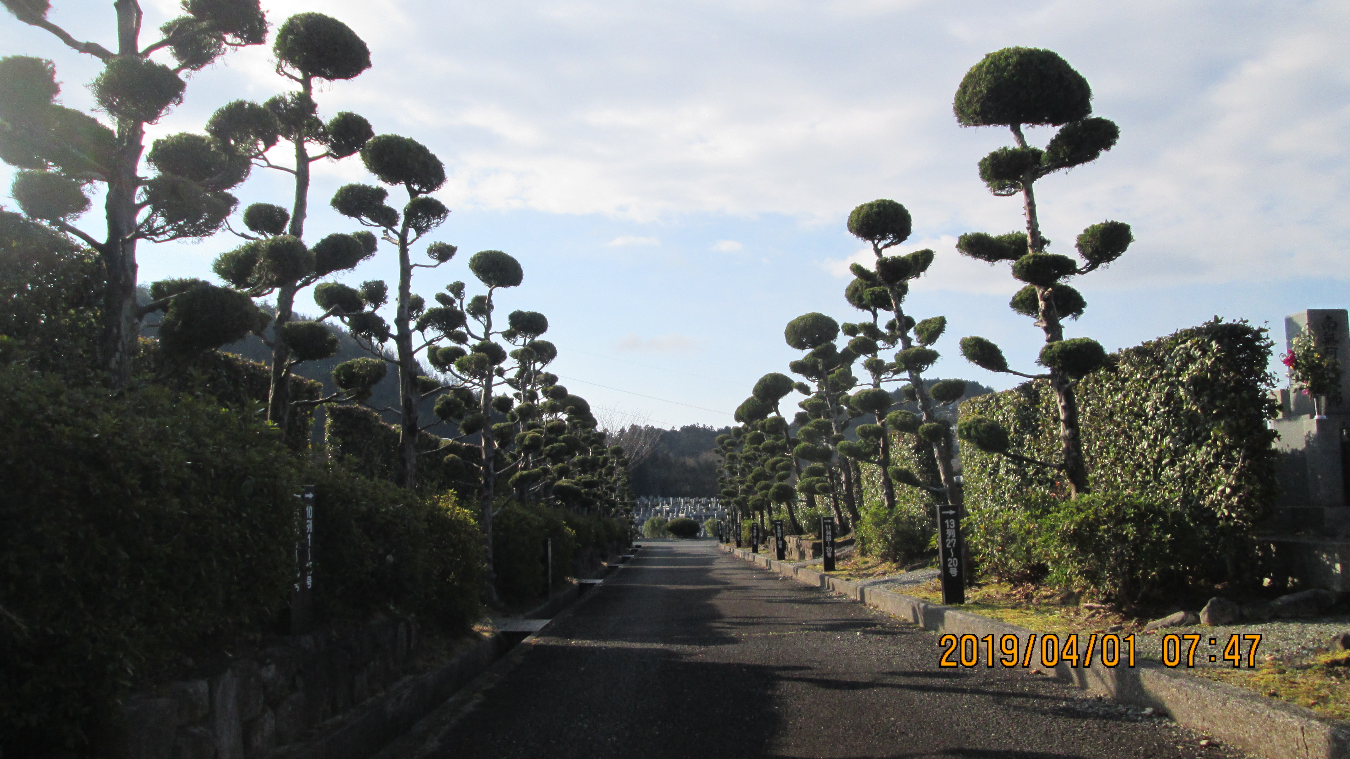 一般墓域・3区4/6番～墓参道風景