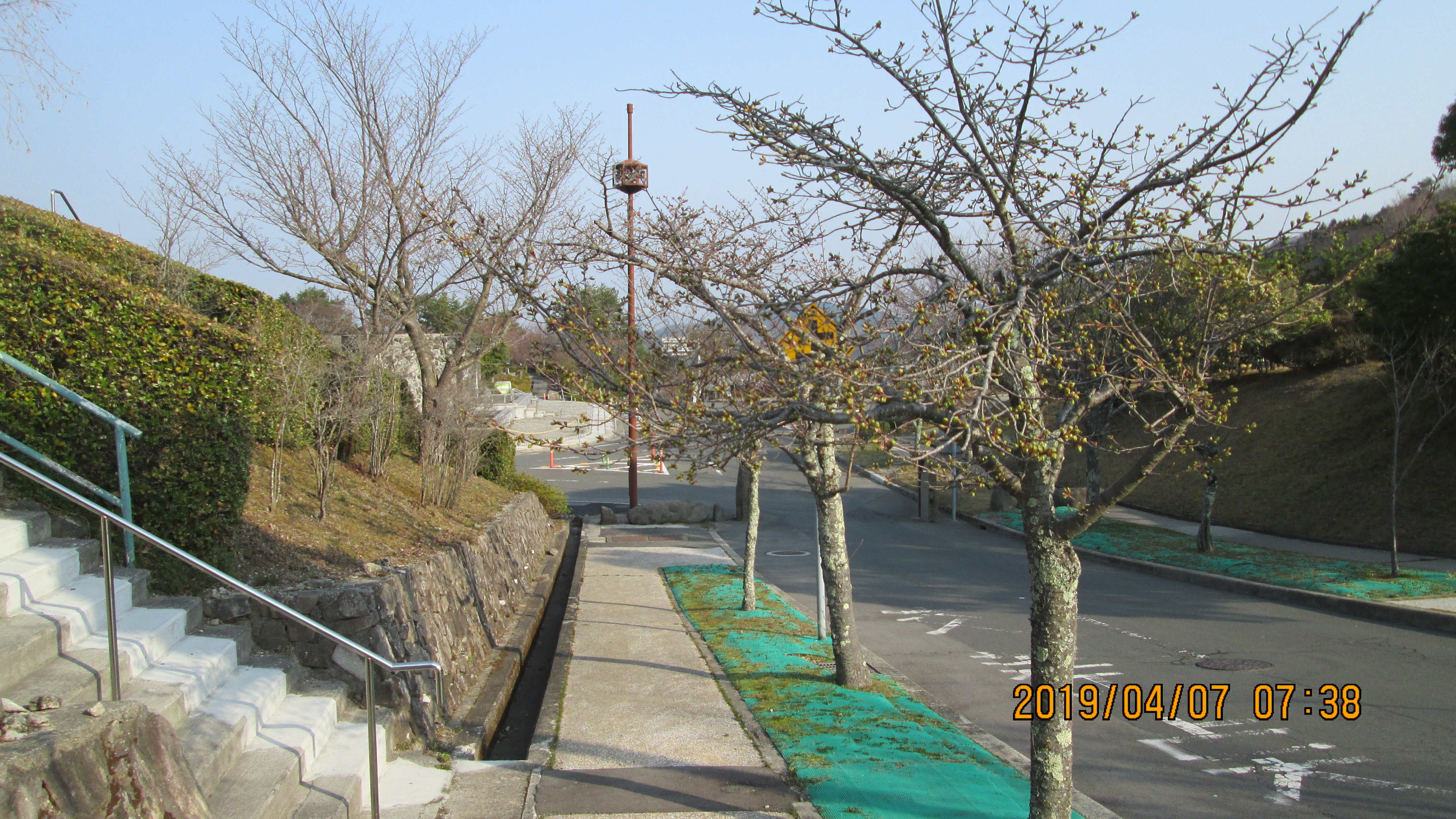 バス通り・2区墓所歩道～風景