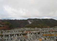 11区7番墓所から（11区墓域風景）