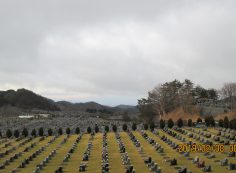 11区2番墓所からの霊園風景