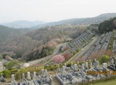 階段墓域・7区3番上段駐車場～