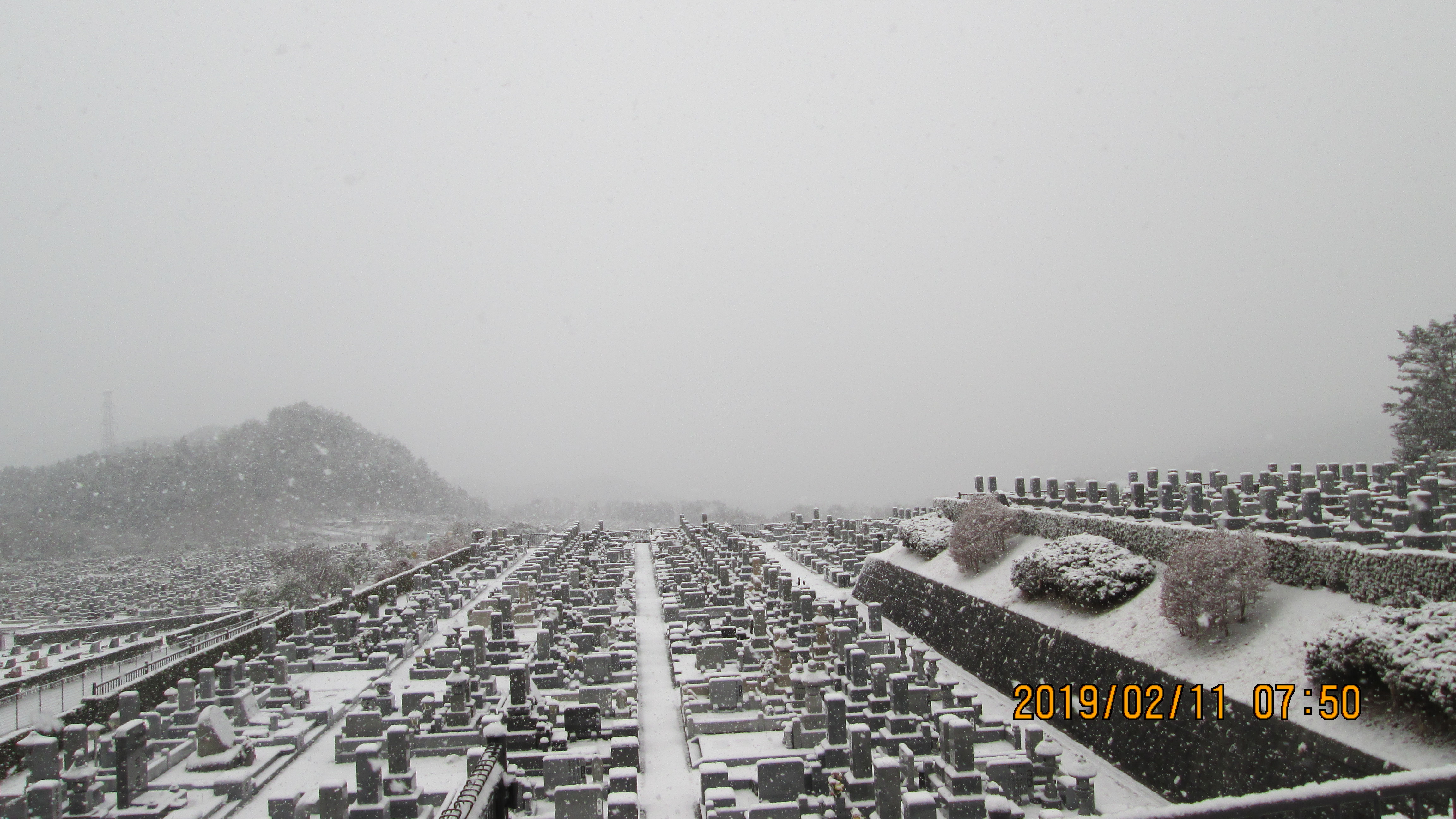 11区2/3番墓参道からの風景