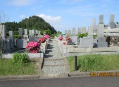 一般墓域・1区4/6番枝道～撮影