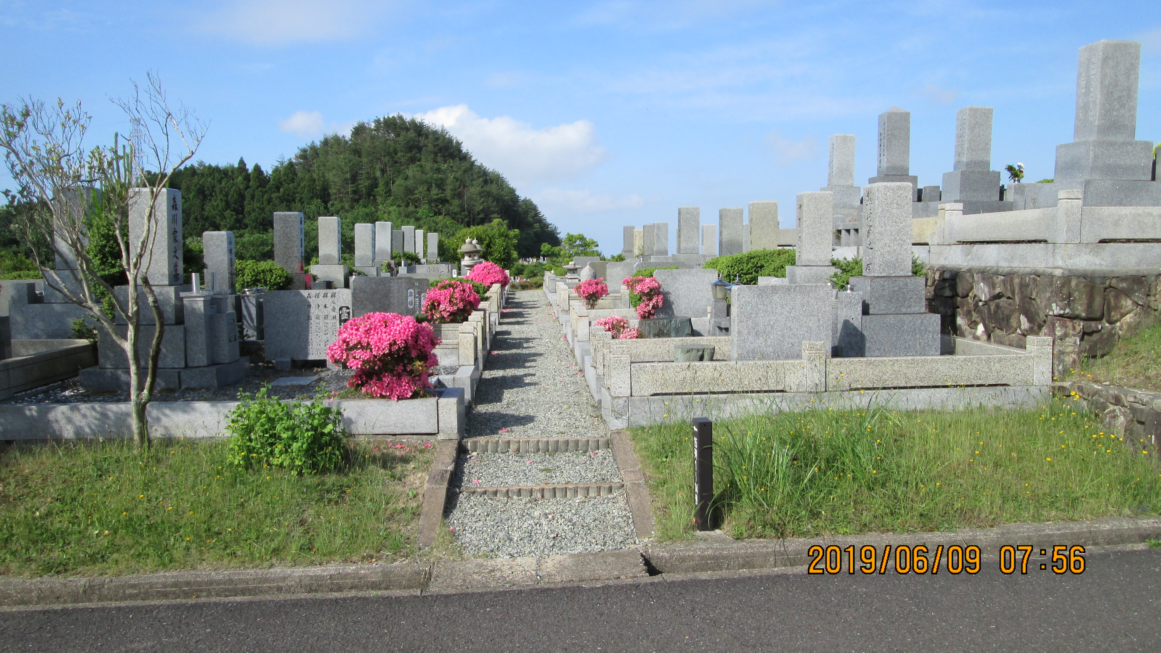 一般墓域・1区4/6番枝道～撮影